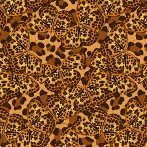 Hidden Leopards | Leopard Butterflies | 12
