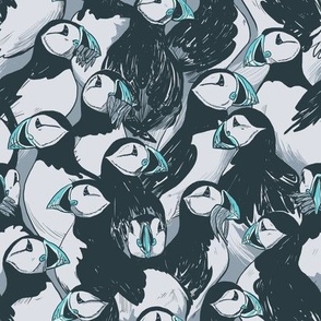 Mega matter Atlantic puffins