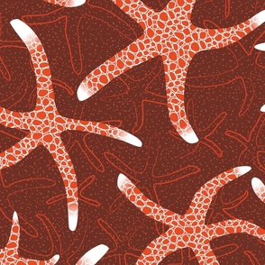 Sea Star Galaxy in Orange and Brown - Extra Large Scale