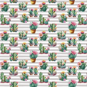Cactus on Gray Stripes