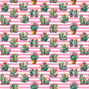 Cactus on Pink Stripes