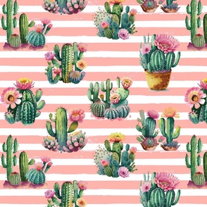 Cactus on Blush Stripes