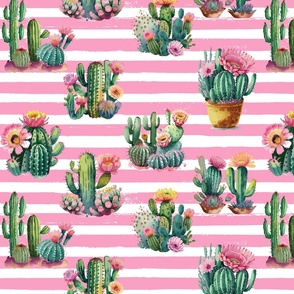 Cactus on Pink Stripes