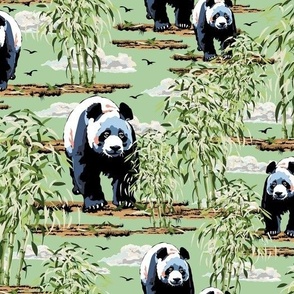 Peaceful Pandas, Black and White Panda, Lush Bamboo Shoot Forest on Green