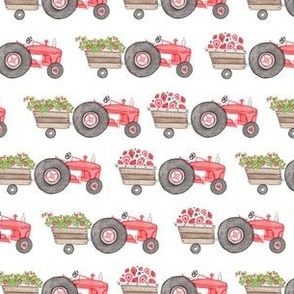 strawberry picking tractors 