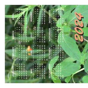2024 Jewelweed and Swallowtail calendar