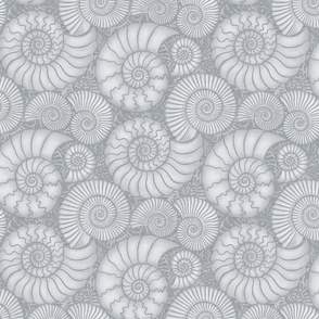 Ammonite Fossils (medium), quarry gray - ancient rocks with spiral shells in soft grey.