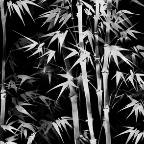 Bamboo Sumi e BW