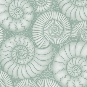 Ammonite Fossils (xlarge), dusty green - ancient rocks with spiral shells in soft green.