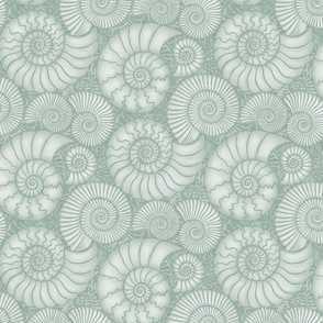 Ammonite Fossils (medium), dusty green - ancient rocks with spiral shells in soft green.