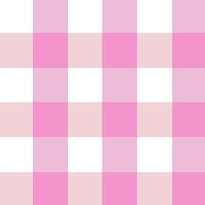 LARGE SCALE PINK GINGHAM