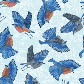 Multidirectional bluebirds flying in blue and white sky - birds flapping wings and spreading feathers in all directions 