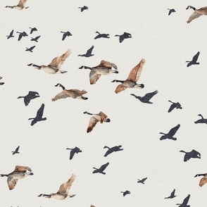Flocks of Canada Geese flying in formation in sky in grey, tan, brown, & eggshell. Watercolor hand-painted birds in flight