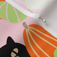 Halloween Cat Pumpkin Patch // Pink Background