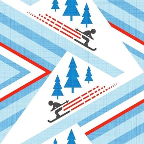 Downhill ski slopes with pine trees normal scale