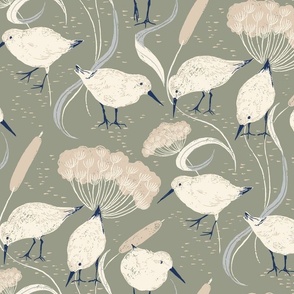 coastal chic - sanderling and cats tail on muted green