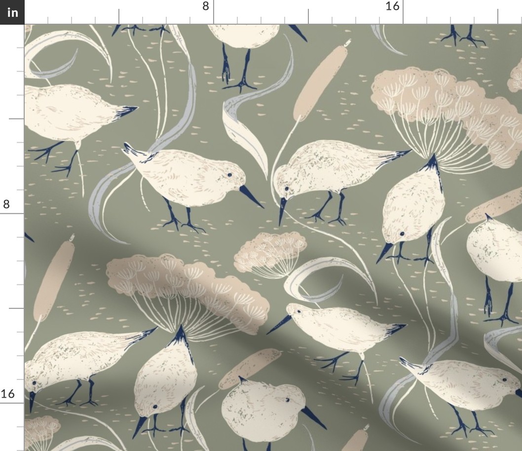 coastal chic - sanderling and cats tail on muted green