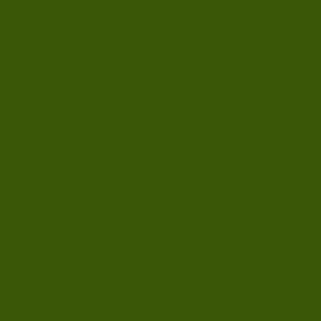 Solid Moss Green 3a5708 