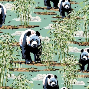 Panda Bears in the Wild, Black and White Pandas, Lush Bamboo Forest on Blue Green
