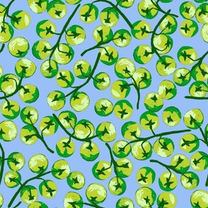 BRIGHT GREEN TOMATO VINES ON A BLUE BACKGROUND