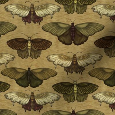 6" Vintage Butterflies - Earth Tone Directional - Lion, Kobicha, Golden Brown on Vanilla 