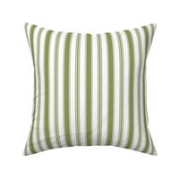 French Country Wide Stripes Green Small Scale 9''