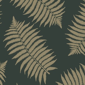 Ferns Leaves