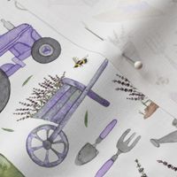 purple Lavender farm tractor 
