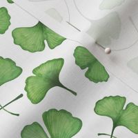 Ginkgo biloba watercolor green // small scale 0003 A //  gingko leaf nature