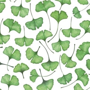 Ginkgo biloba watercolor green // small scale 0003 A //  gingko leaf nature