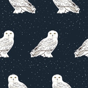 Snowy Owl on Midnight Navy