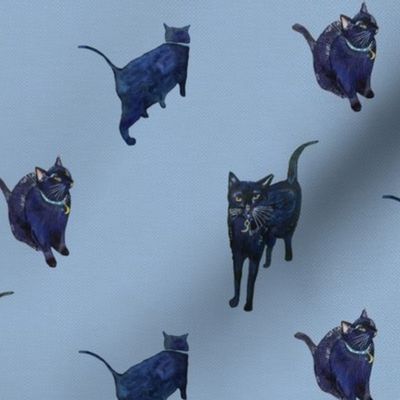A Black Cat Crossed Your Path // Harmony Blue (Medium Scale)
