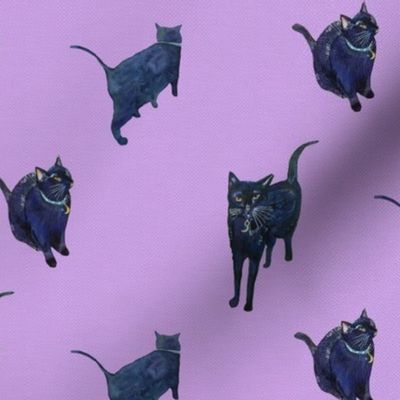A Black Cat Crossed Your Path //  Lavender (Medium Scale)