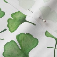  Ginkgo biloba watercolor green // normal scale 0003 A //  gingko leaves leaf nature