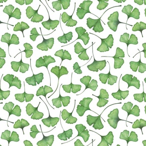  Ginkgo biloba watercolor green // normal scale 0003 A //  gingko leaves leaf nature