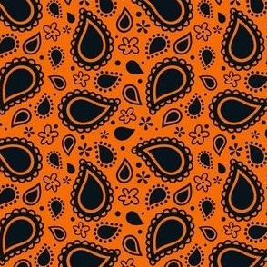 Small Scale Playful Paisley Bandana Black on Orange