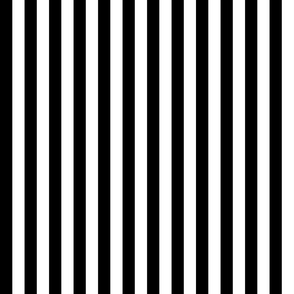 Black and White Stripes