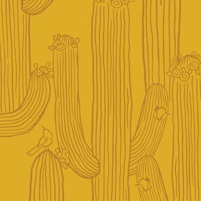 Saguaros in Bloom_Golden Hour_medium