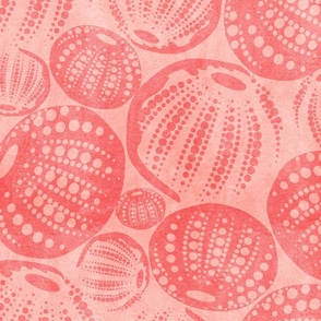 Ocean Harmony- Sea Urchin Shells- Coral on Pink- Large Scale