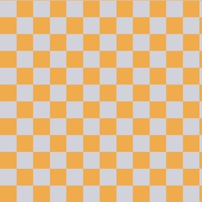 Orange and Grey Checks X Small