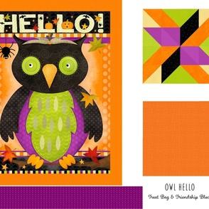 Owl Trick or Treat Bag with Friendship Block - FAT QUARTER