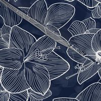Amaryllis Belladonna Flower Line Drawings on Deep Cobalt Blue