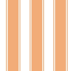 Tangerine Large French Awning Stripe 