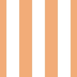Tangerine and white Cabana Stripe 
