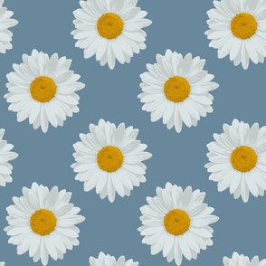 Daisies on Dusty Blue: Large