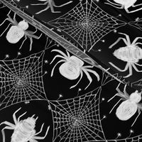 spooky gothic spider web