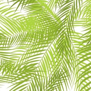 Frond Memories Lime on white