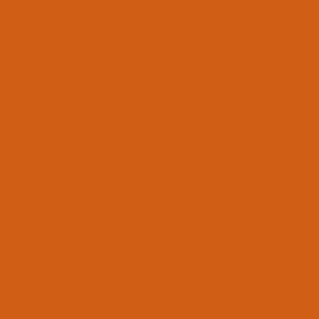 Strong Orange Solid - Hex  d05e14 