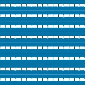 South Dakota Blue And White 1 Inch Strips