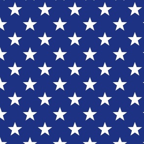 Blue White Stars From The USA Flag For Mix And Match Projects  Smaller Scale